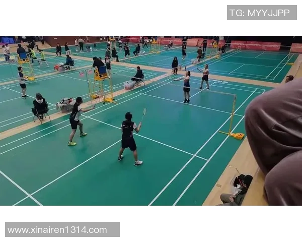 深圳羽毛球队逆袭之路:创新策略与团队精神的完美结合